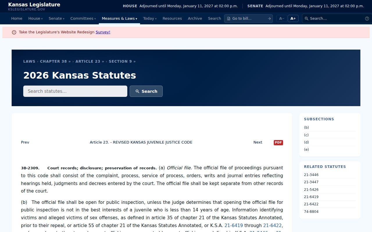 Kansas juvenile court document access statute