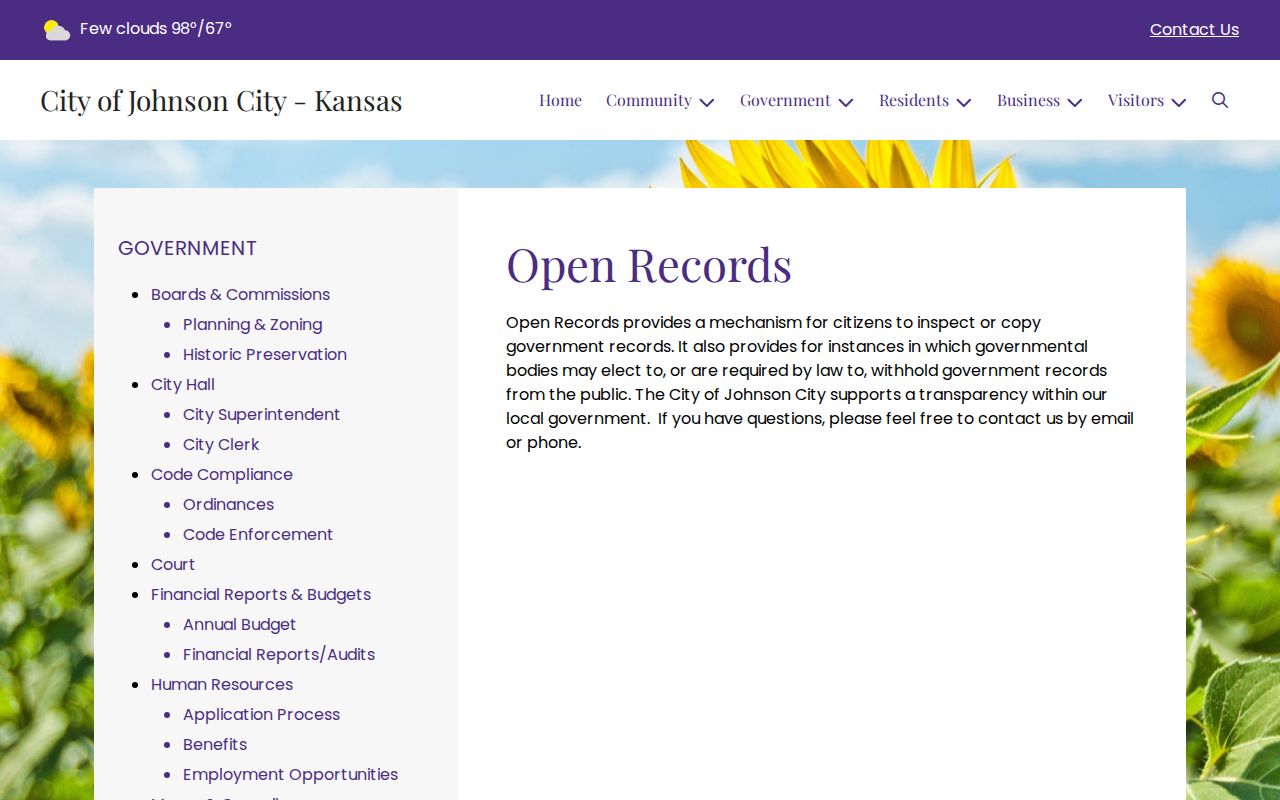 Johnson City court record access rules